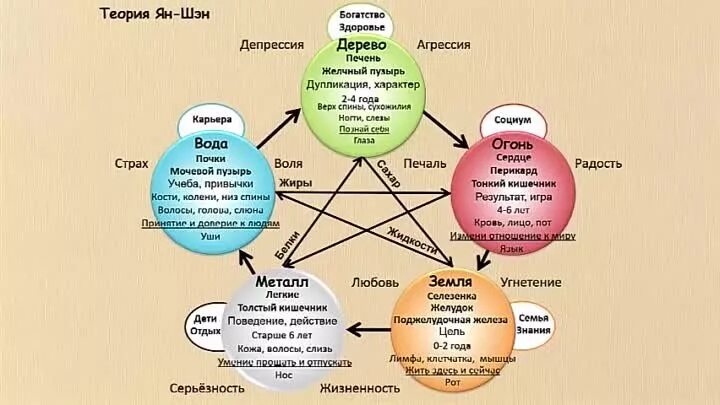 Китайская медицина органы. У син китайская медицина. Теория яншен Fohow. Теория Усин китайская.