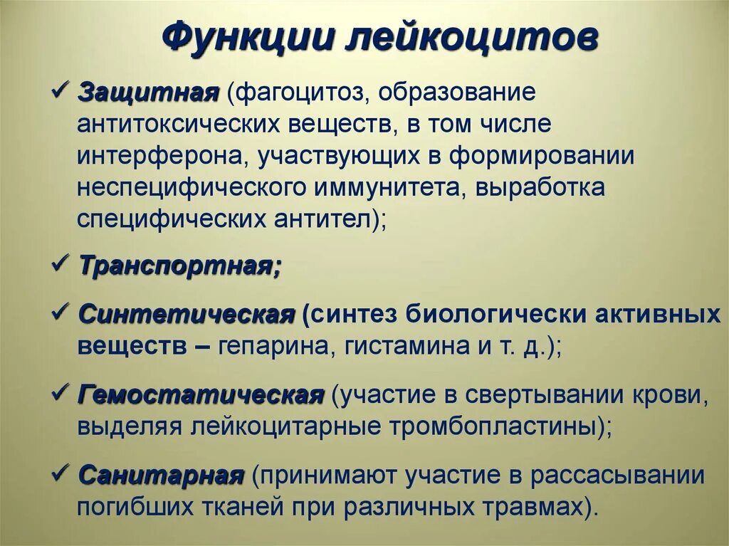 3 функция лейкоцитов. Фагоцитоз и выработка антител. роль лейкоцитов в фагоцитозе. роль фагоцитоза в иммунитете. лейкоциты участвуют в процессе фагоцитоза.