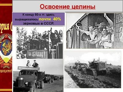 Целина это в истории
