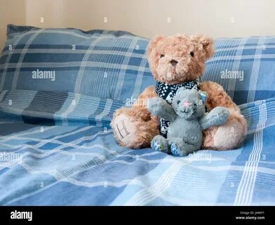 The teddy bear is the bed