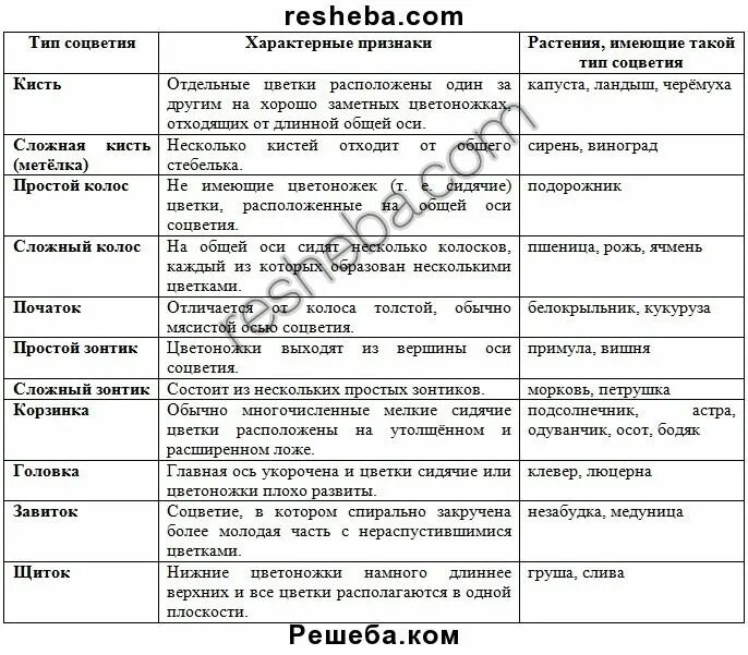 Биология 9 класс параграф 43. Типы соцветий таблица соцветие характерные признаки. Типы соцветия таблица характерные признаки. Таблица соцветия биология 6. Биология 6 класс параграф 12 таблица Тип соцветий.