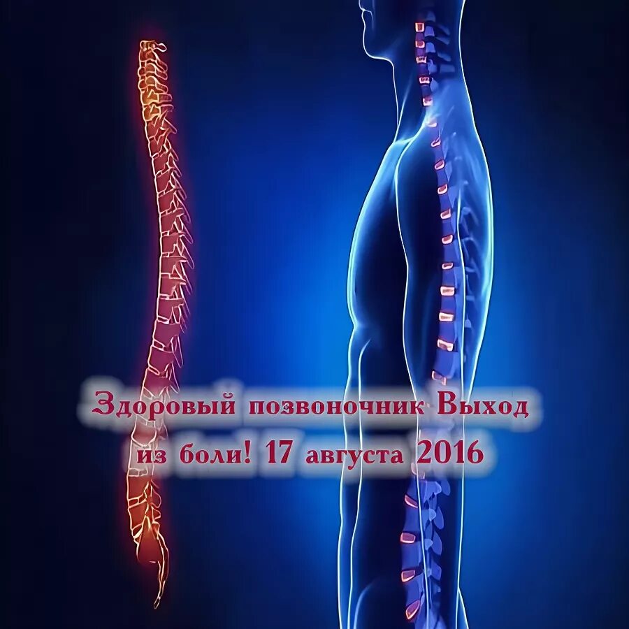Жить здорово спина. Здоровый позвоночник. Позвоночник здорового человека. Как выглядит здоровая спина.