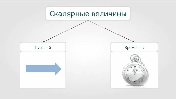 Какие из величин скорость сила. Какие из величин скорость сила