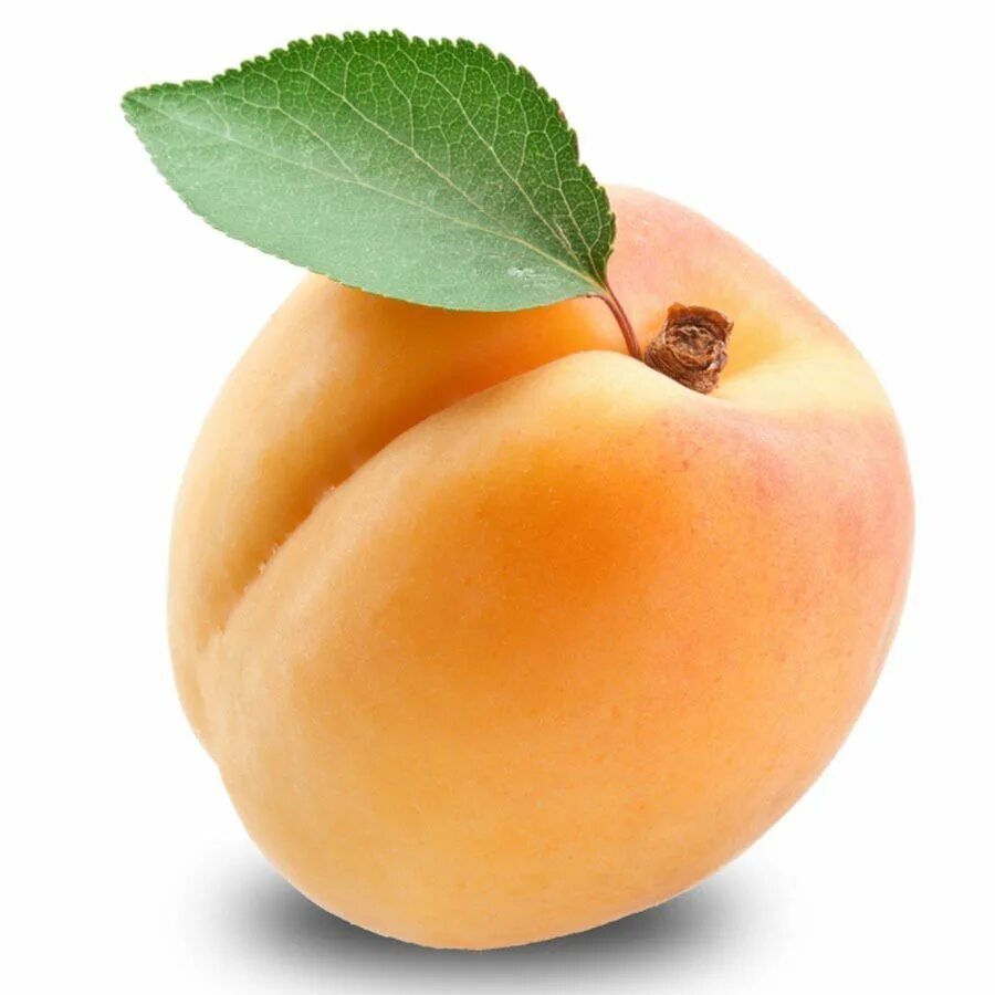 Абрикос png. Костянка абрикоса. Абрикос Петропавловский. Abricot #1. Априкот абрикос.
