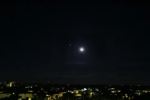 21 nights