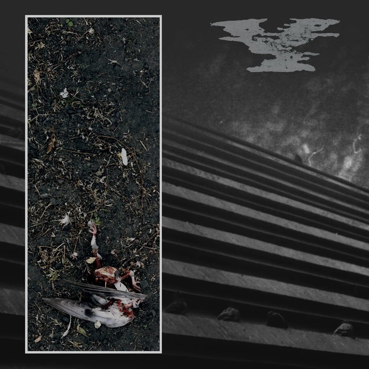 Поэзия фольги. Уннв поэзия фольги. поэзия фольги обложка. zeze поэзия фольги.