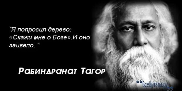 Индийскому писателю р тагор принадлежит следующее высказывание. Рабиндранат Тагор изречения. Рабиндранат Тагор цитаты. Высказывания Рабиндраната Тагора. Р Тагор цитаты.