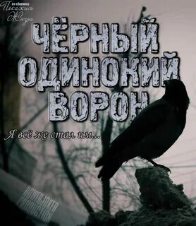 Слушать песню одиночество черный ворон