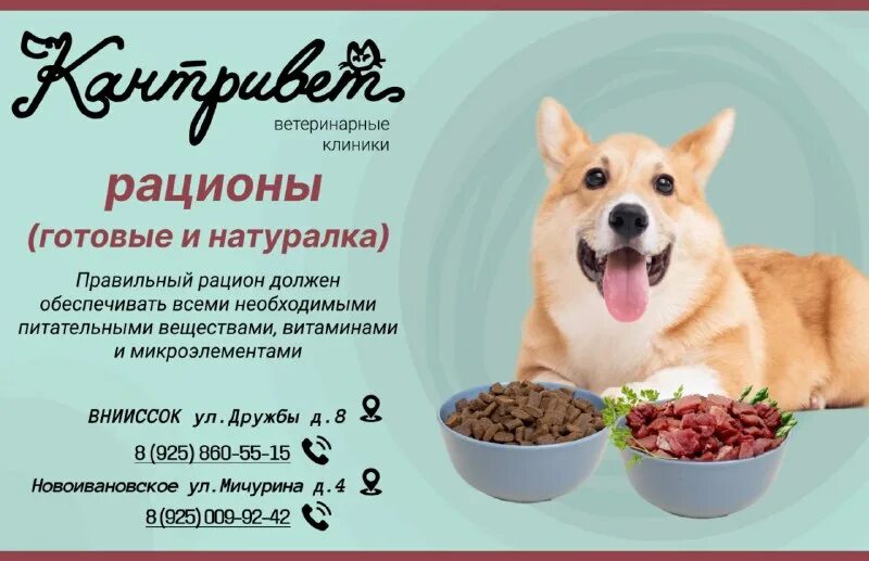 ветеринарная клиника в дубках внииссок. дилли для активных собак. ветеринарная клиника дружба. кантривет ветклиника. ветеринарная клиника в дубках внииссок.