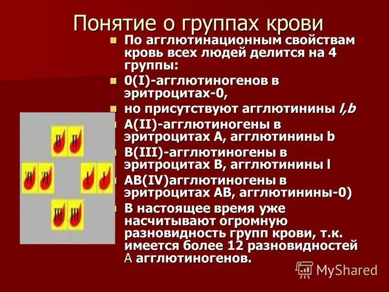 Понятие о группах крови. Группа крови термин. Понятие о группах крови и резус-факторе. Кровь понятие. Группа крови влияние на характер