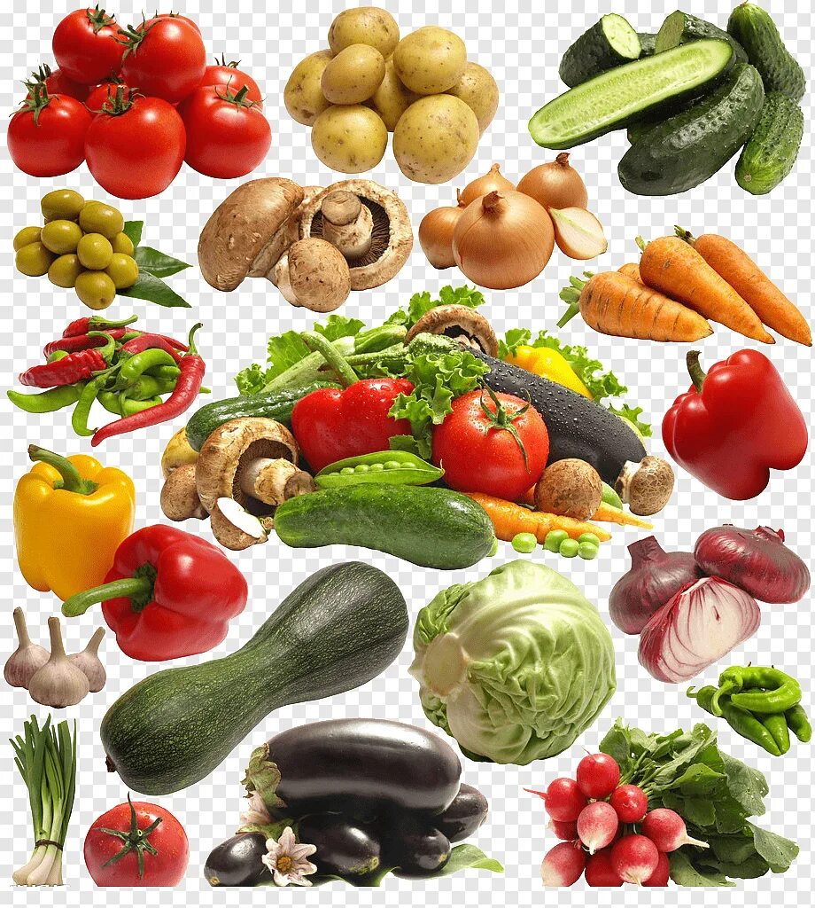 Овощи в ассортименте. Овощи. Семена овощей. Овощи разные. Виды овощей.