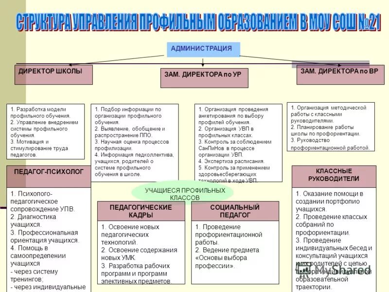 Система профильного обучения. Организация профильного обучения. Модель профильного обучения в школе. Технология профильного обучения.