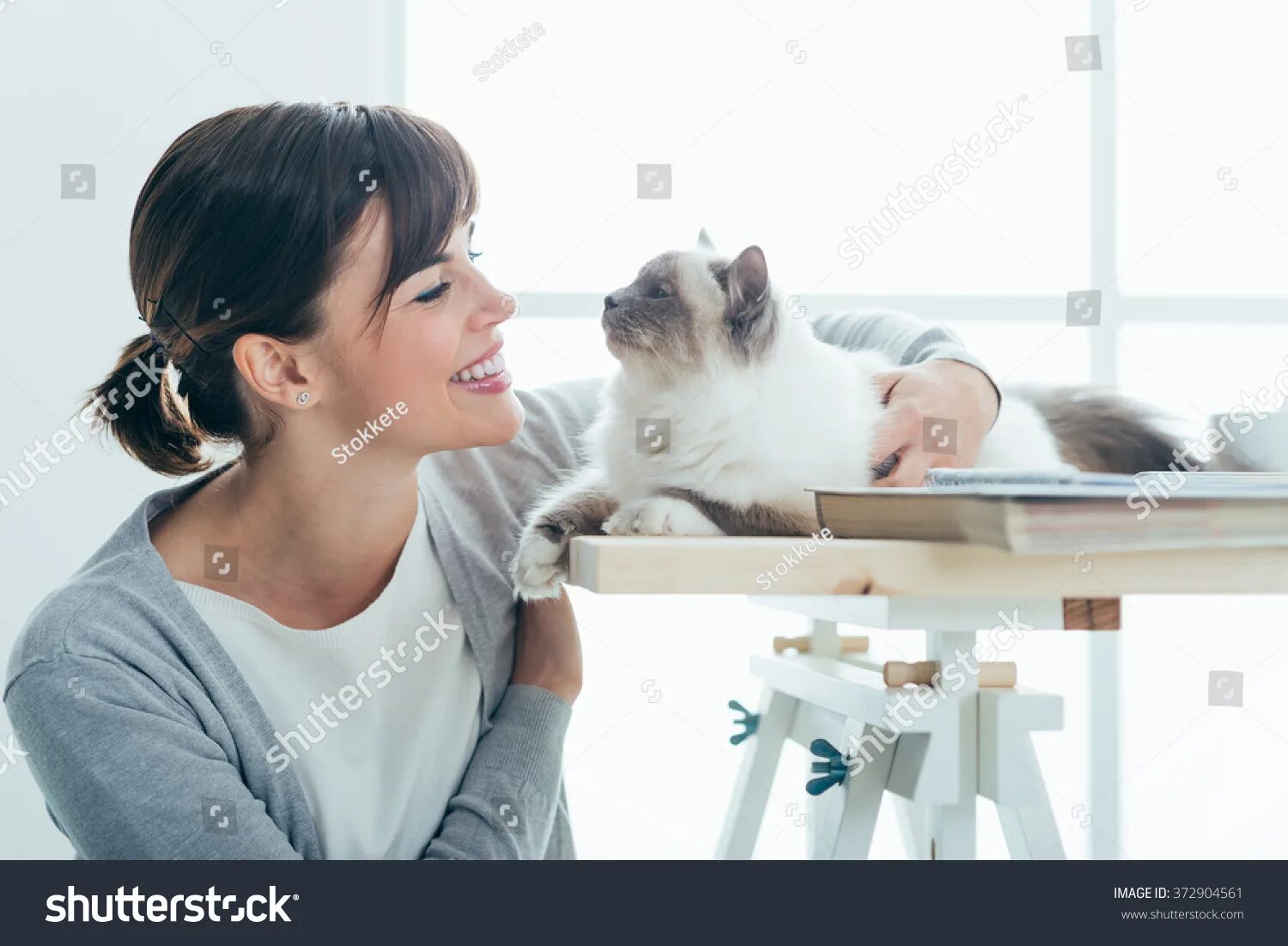 Вычесывание ковра. Котик по английскому. Мужчина гладит собаку. Ковер для девочки. Being petted to be petted.