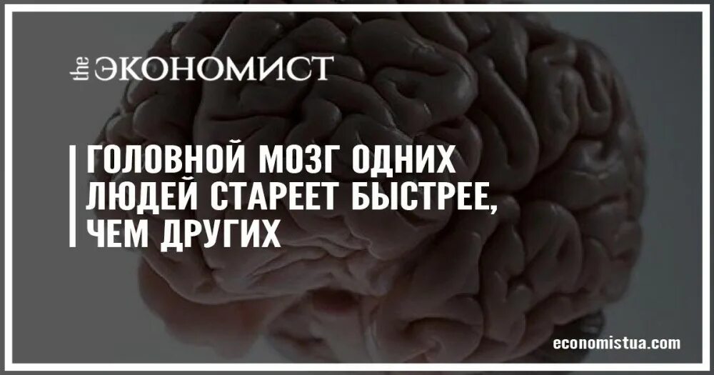 Нестареющий мозг. Мозг стареет. Стареющий мозг иллюстрация. Мозг в старости. Тест на старение мозга.