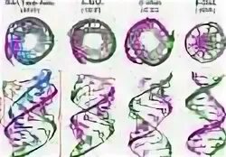 DNA Triple Helix. Triple Helix model. Triple Helix (Triplex) Technology. Triple Helix, Quadruple Helix, Quintuple Helix.