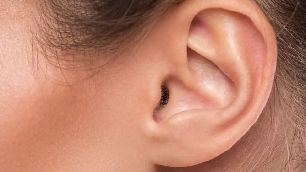 Ли ухо. Small Ears картинка. Приятные звуки для ушей до мурашек. Small Ears картинки для детей.