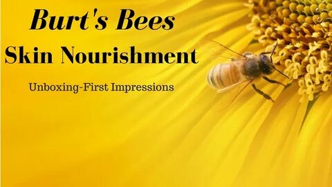 The sun in the east bees honey