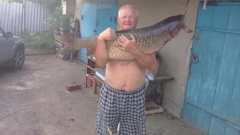 Белый амур ульяновск