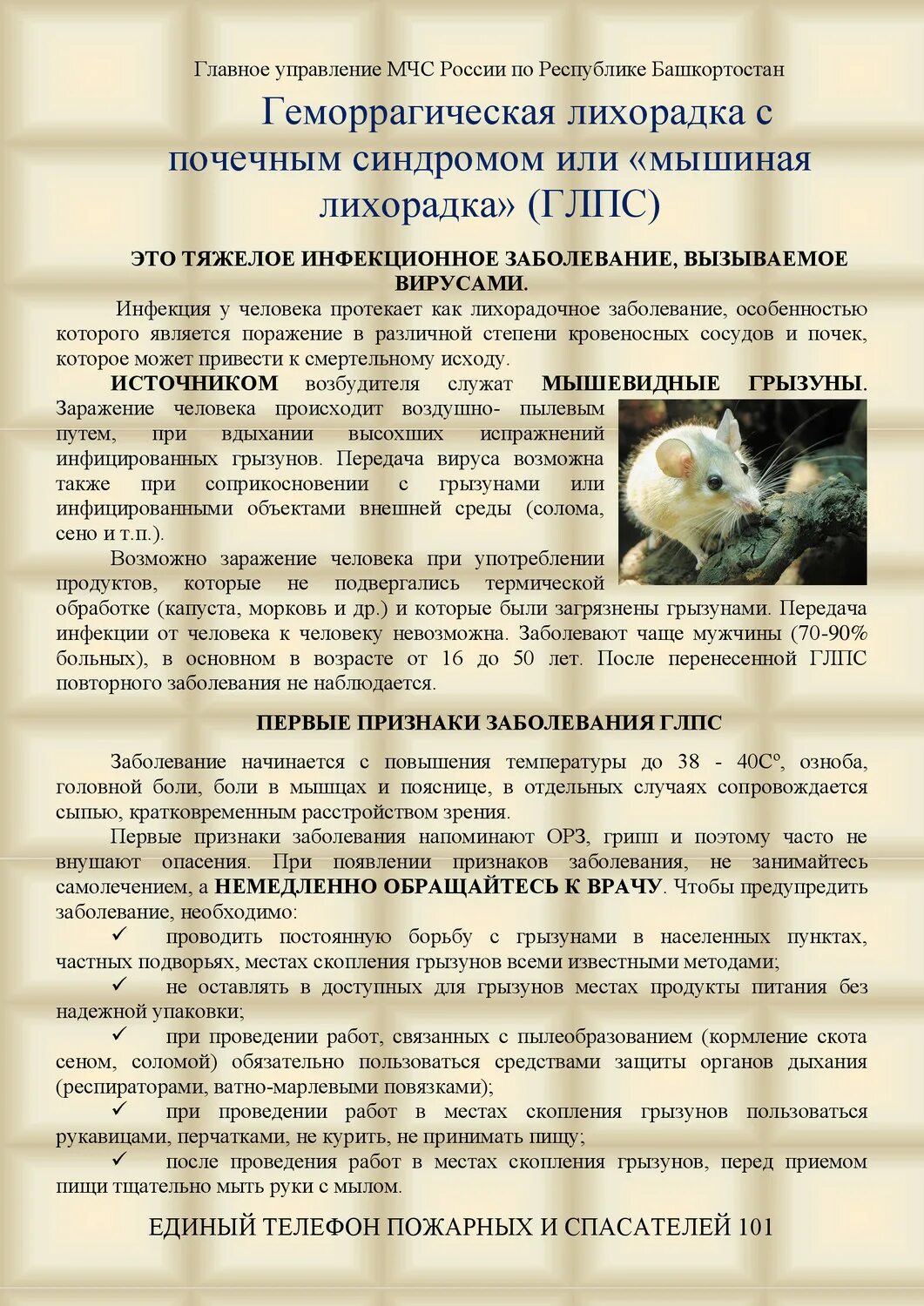 Мышиная лихорадка симптомы и лечение. Мышиная лихорадка симптомы. мышечная лихорадка симптомы. мышинная лихорадка сиптом. геморрагическая мышиная лихорадка.
