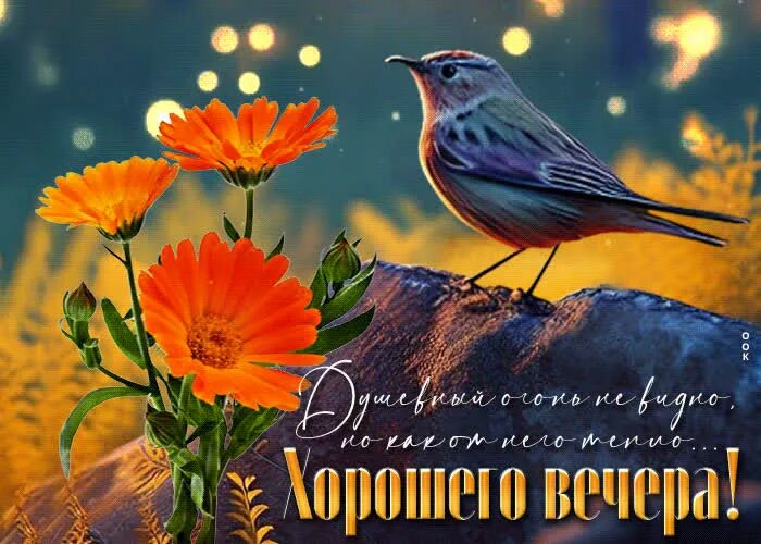 Мерцающие открытки Добрый Вечер (122 гифки)