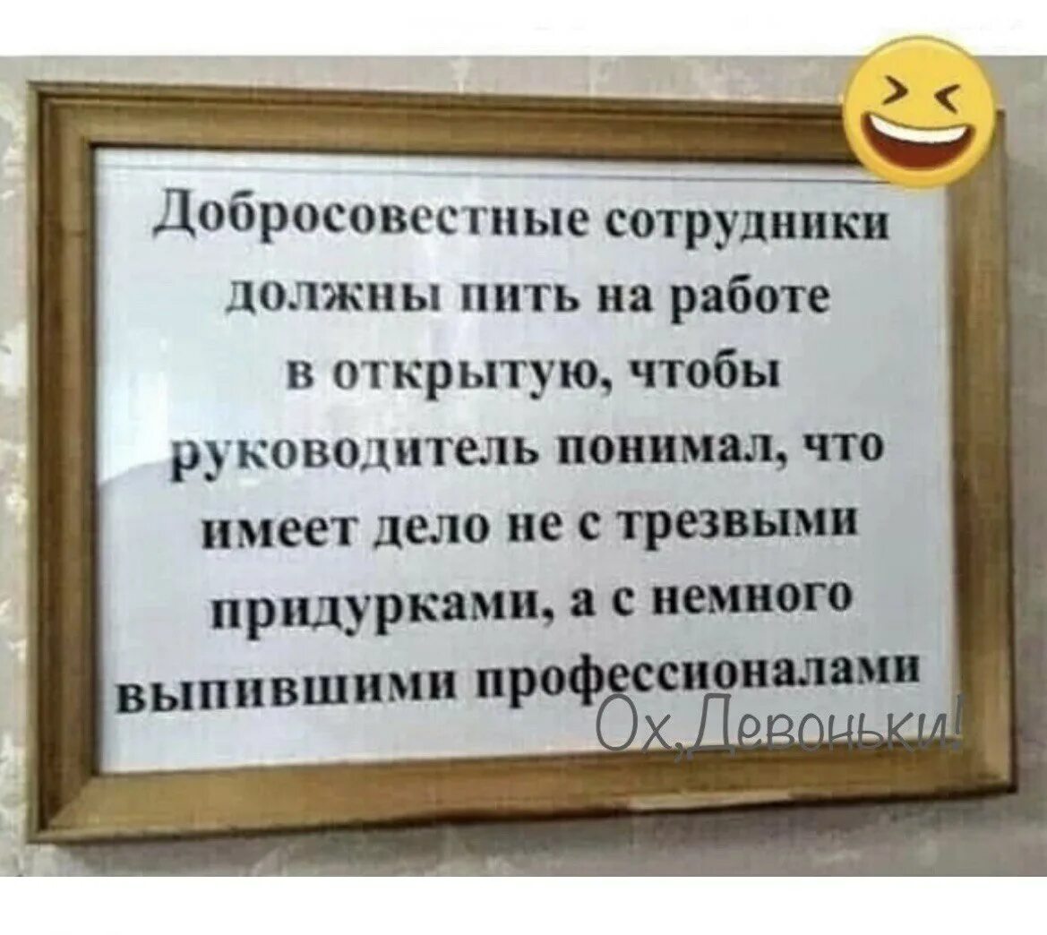 Что делать если начальник выживает с работы. Смешные высказывания про начальника. Добросовестные сотрудники должны. Анекдот про начальника. Юмор про начальство.