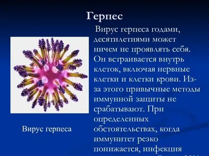Для вируса герпеса характерно