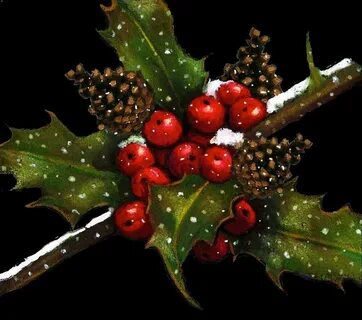 Holly