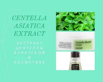 Экстракт центеллы азиатской для кожи
