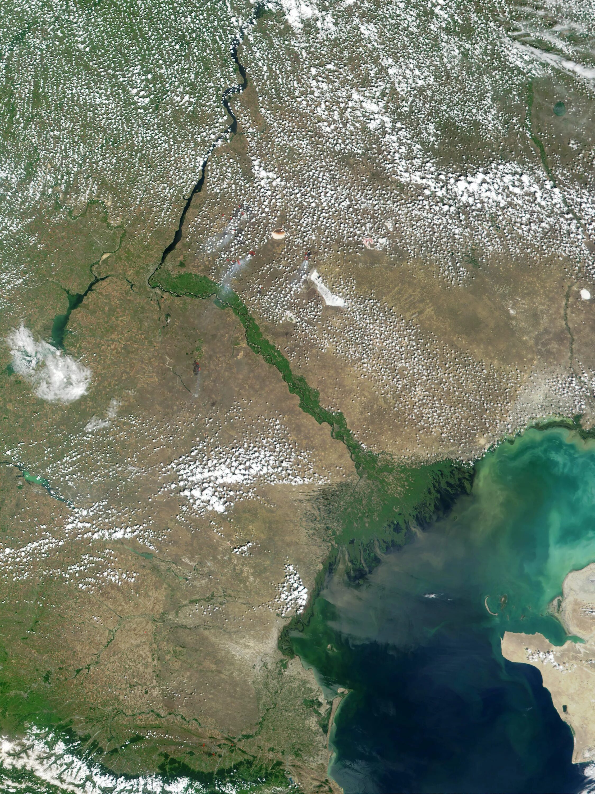 астрахань устье волги. исток реки волги каспийское море. во что впадает река днепр схема. река волга на карте россии исток и устье с городами. дельта волги.