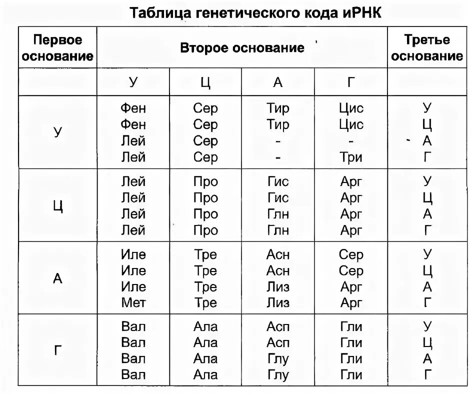 Таблица генетический код биология. Таблица генетического кода ИРНК С полными названиями. Аминокислоты ДНК И РНК таблица.