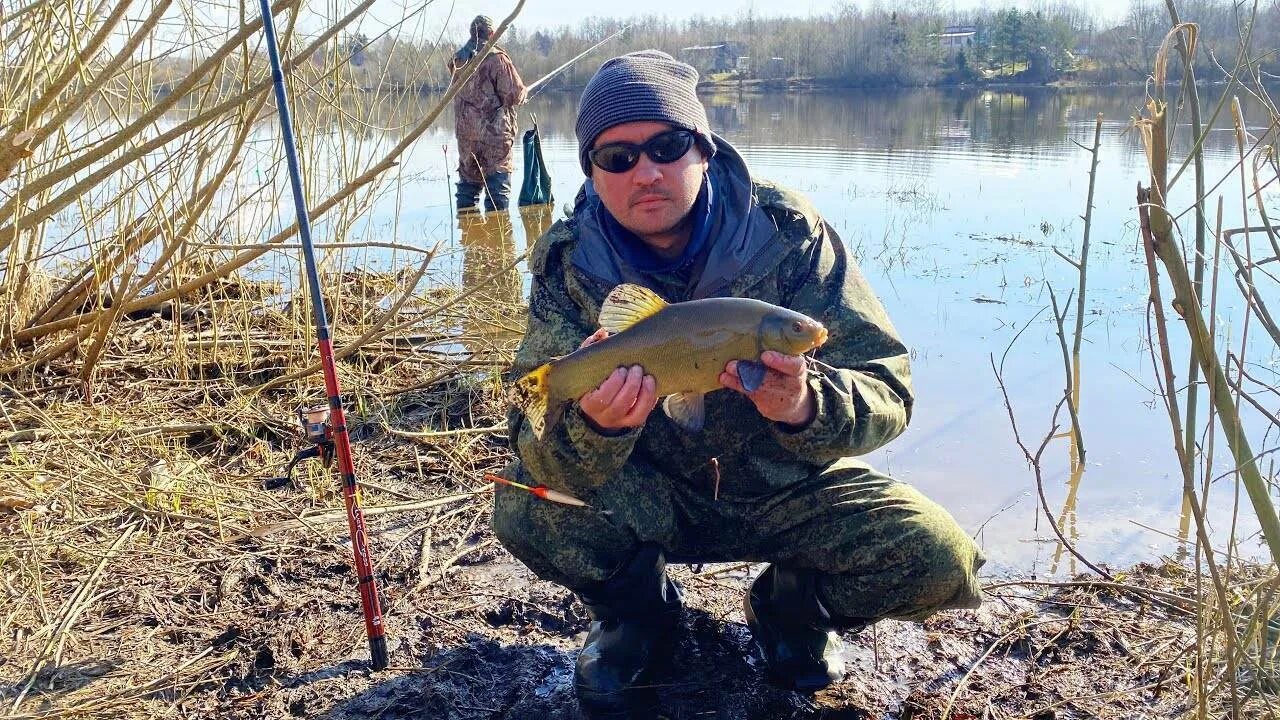 Включи лову. Грузино рыбалка река Волхов. Рыбалка на Волхове. Река Волхов рыба. Ловля на Волхове.