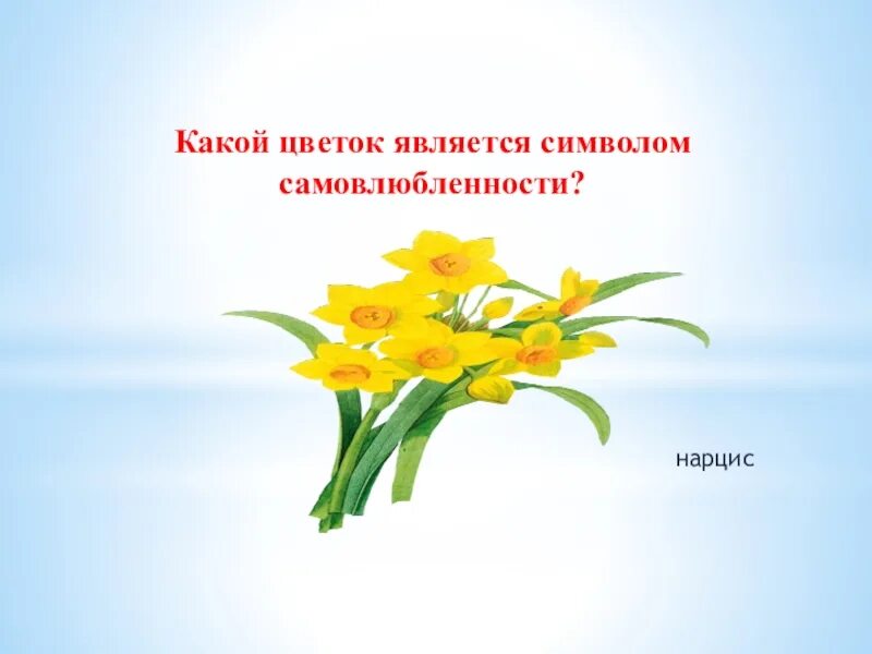 Какой цветок является символом всероссийского дня семьи. Какой цветок является. Какой цветок является символом самовлюбленности. Какой цветок является символом дня матери. Какой цветок является символом детей.