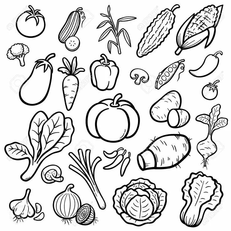 Pin by Roiban Georgeta on autumn Vegetable coloring pages, Coloring pages, Color