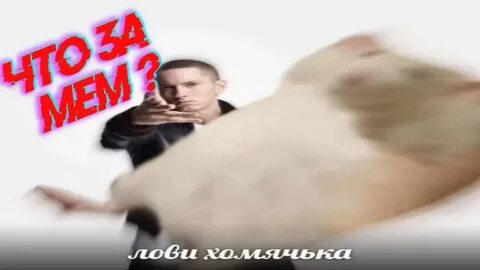 Папа брось хомяка