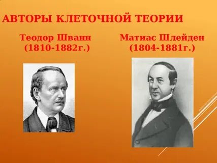 Авторы клеточной теории