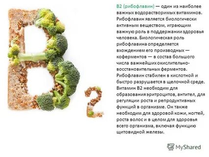 Биологическая роль витамина в6