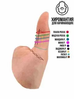 Хиромантия большой