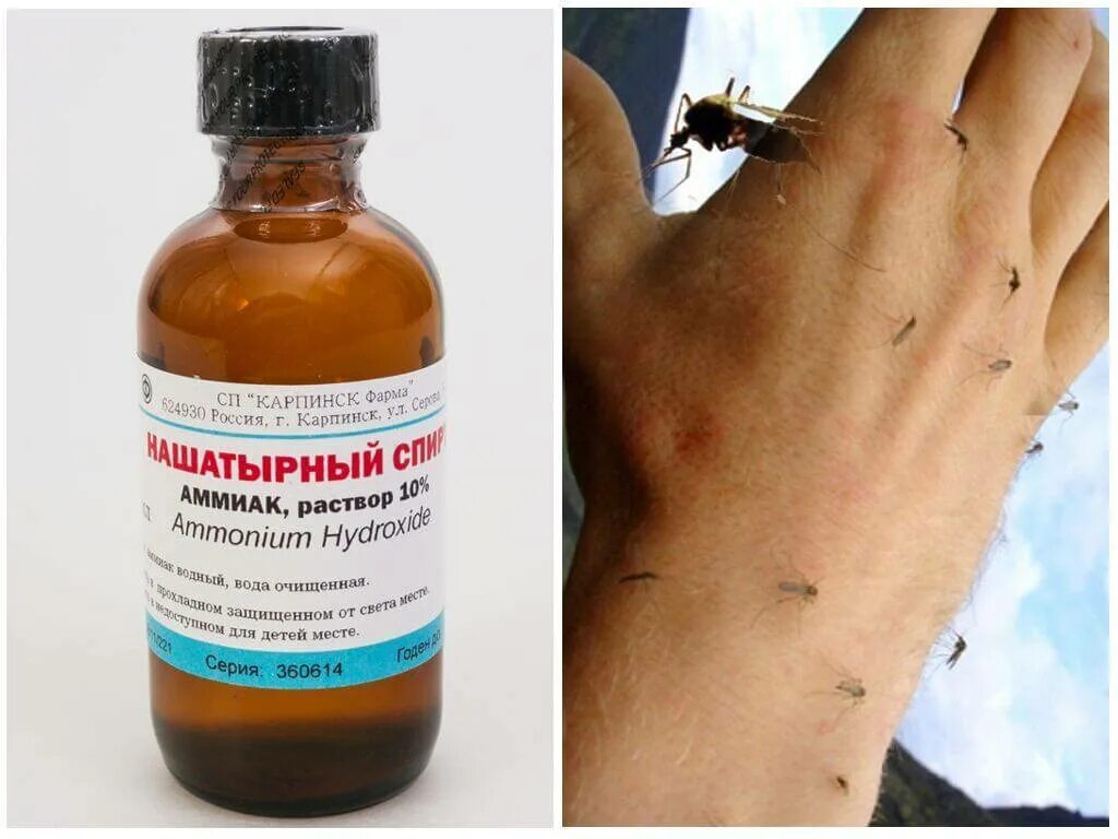можно ли нашатырем