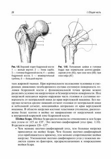 Углы суставов ребенка норма