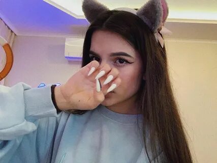 Тендер либае