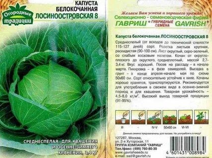 Капуста поздняя сорта для открытого грунта лучшие