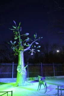 Дерево желаний в кронштадте