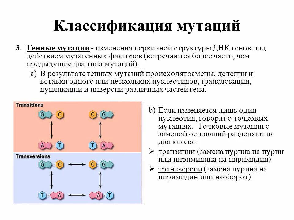 Изменения первичной структуры днк. Классификация генных мутаций. изменение наследственных структур (мутации). мутации структурных генов. изменение структуры генов.