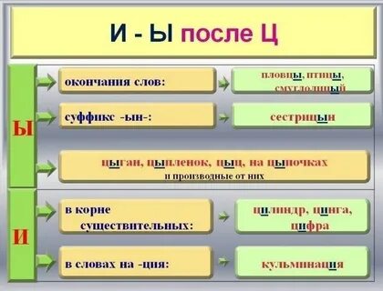 Куницына после ц пишется буква ы