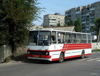 Бус 64