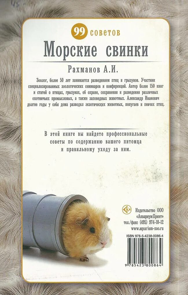 Что нужно для содержания морской свинки. Паспорт морской свинки. имена для морских свинок. книги про морских свинок. объявления на морскую свинку.