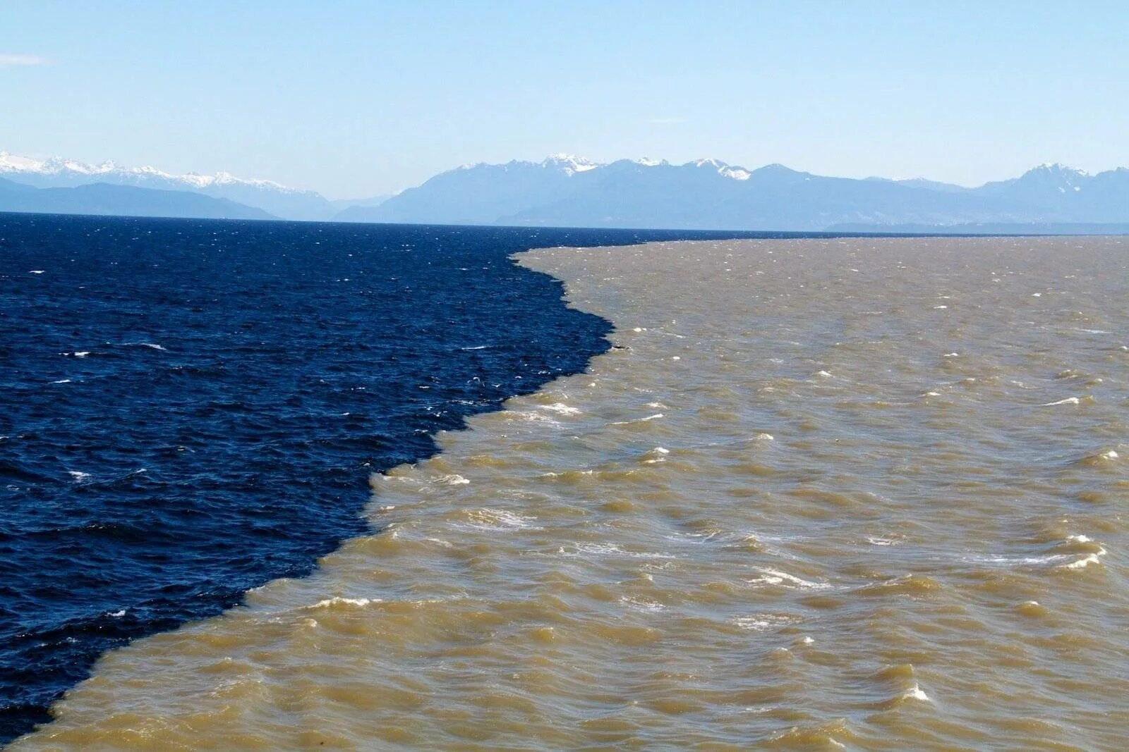 Почему закрыто море. Галоклин Балтийское море. Эгейское море и Средиземное море. Галоклин Скаген. Слияние Эгейского и Средиземного морей.