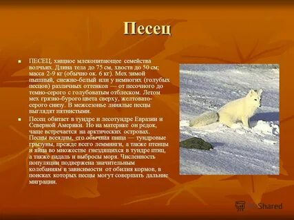 Писец окраска слова