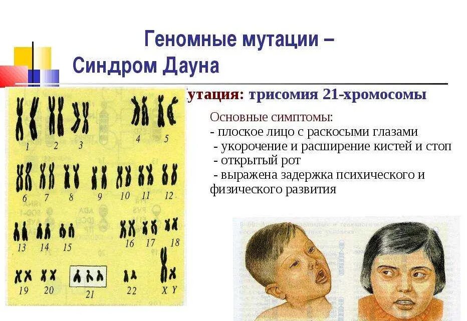 К какому типу мутаций относится
