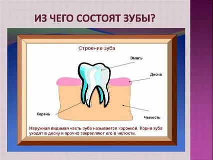 Как она состоит